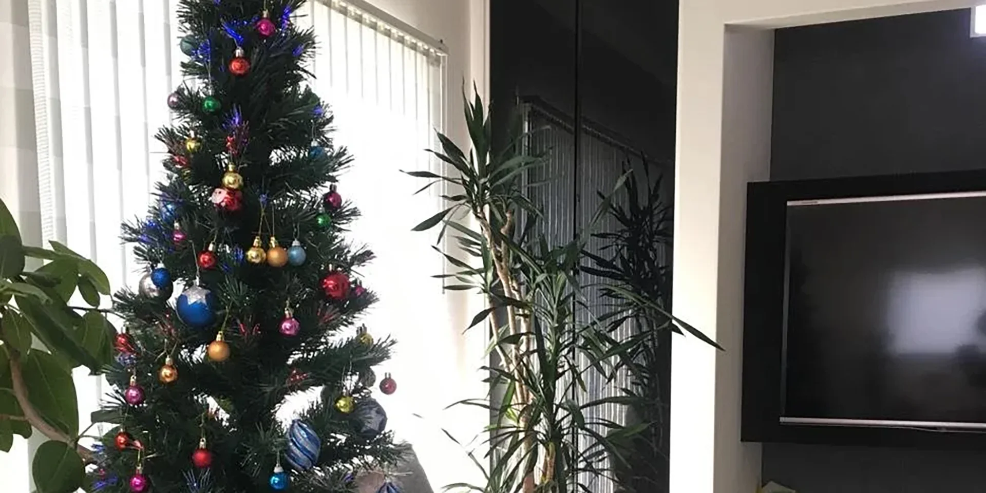Xmasシーズン到来♪